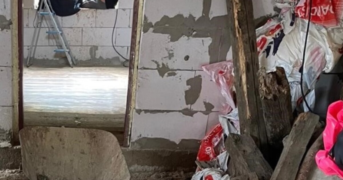 Slovák zabíjel psy a porcoval je. Dostal 1,5 roku za mřížemi