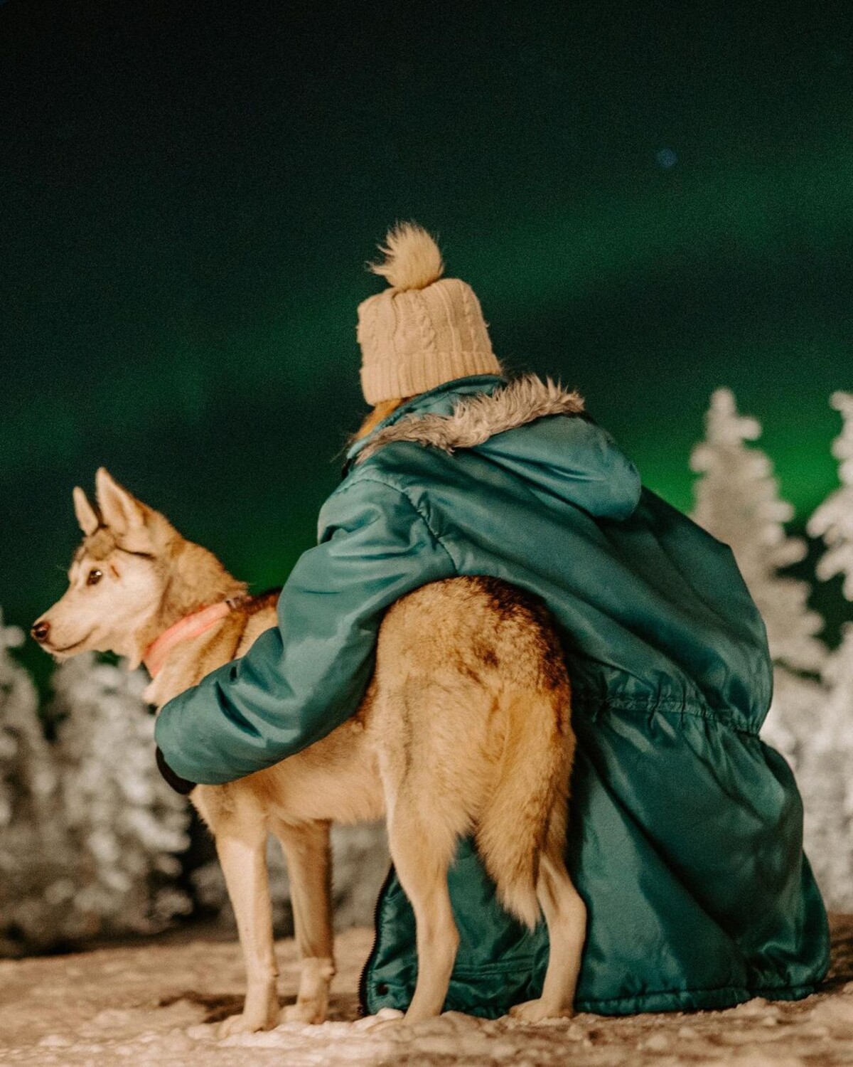 Lucia žije v Laponsku, kde pracuje na husky farme.