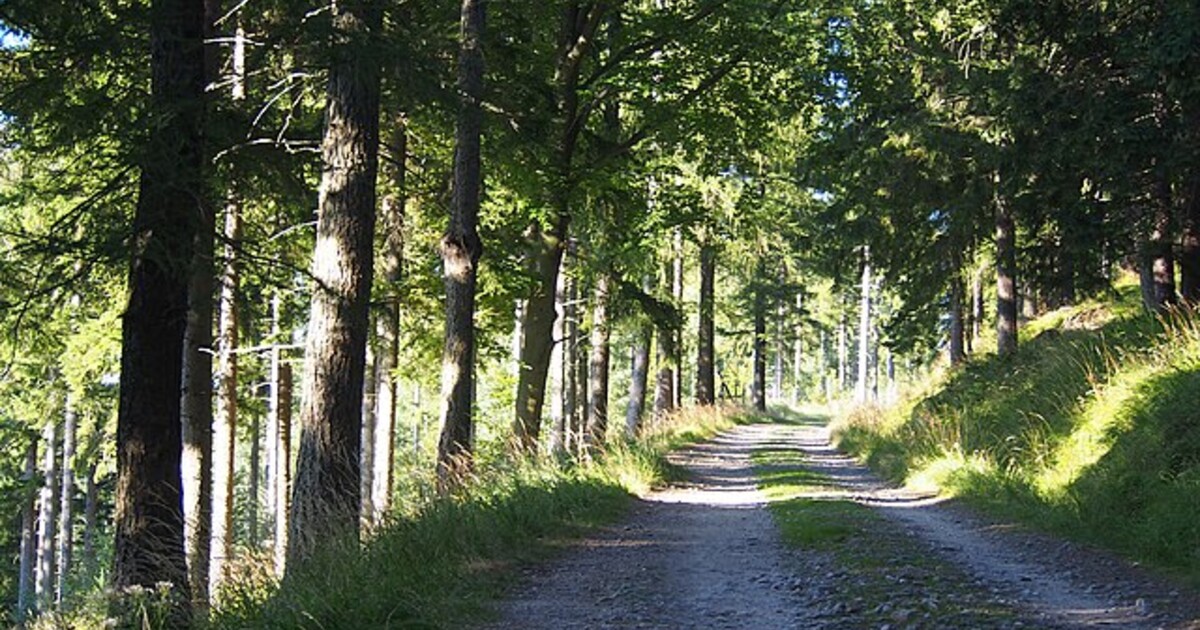 Chystáš se v létě do Krkonošského národního parku? Podívej se, jaká pravidla musíš dodržovat