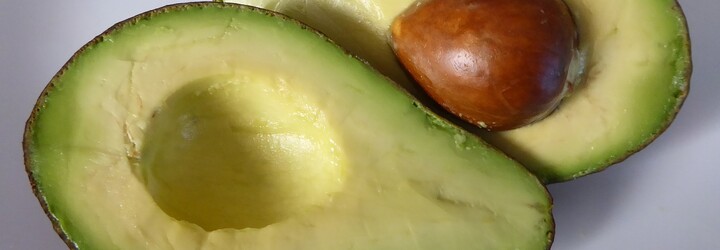 Hipsteři jsou smutní, avokádo ve skutečnosti není veganské. Po technické stránce při jeho produkci trpí živočichové