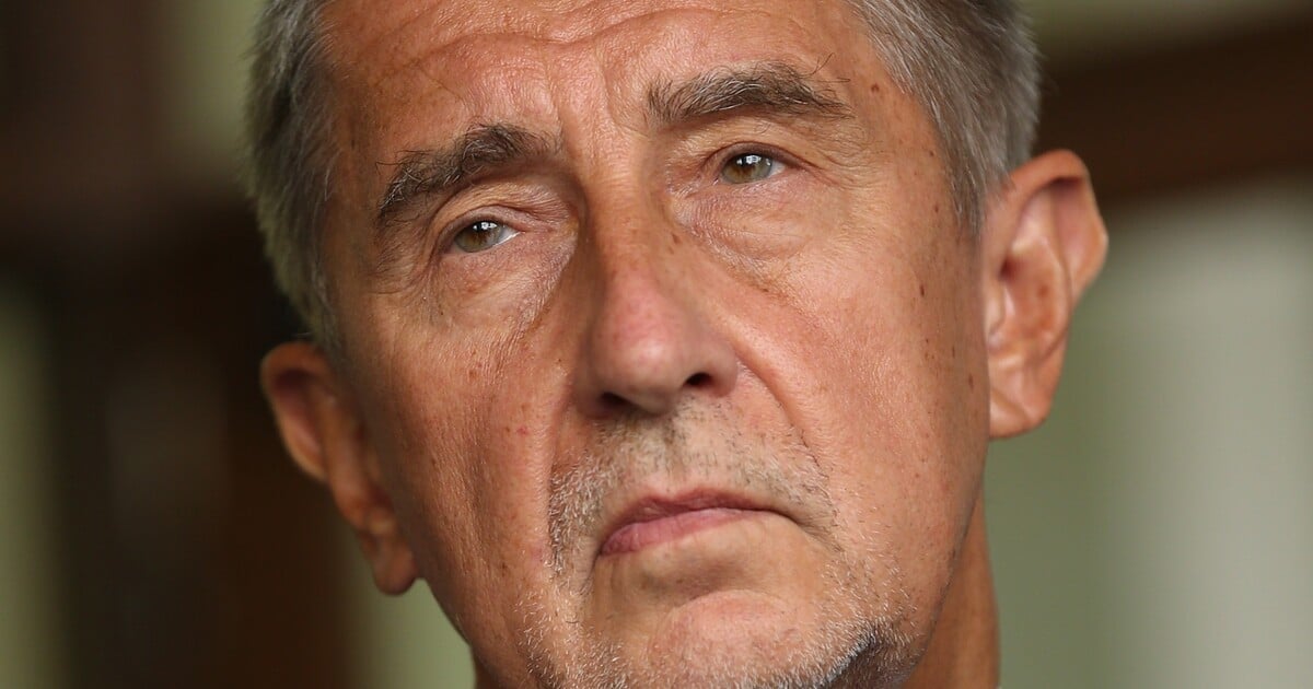 Babiš navrhne Turka na ministra životního prostředí. „V tuto chvíli to platí,“ říká Havlíček