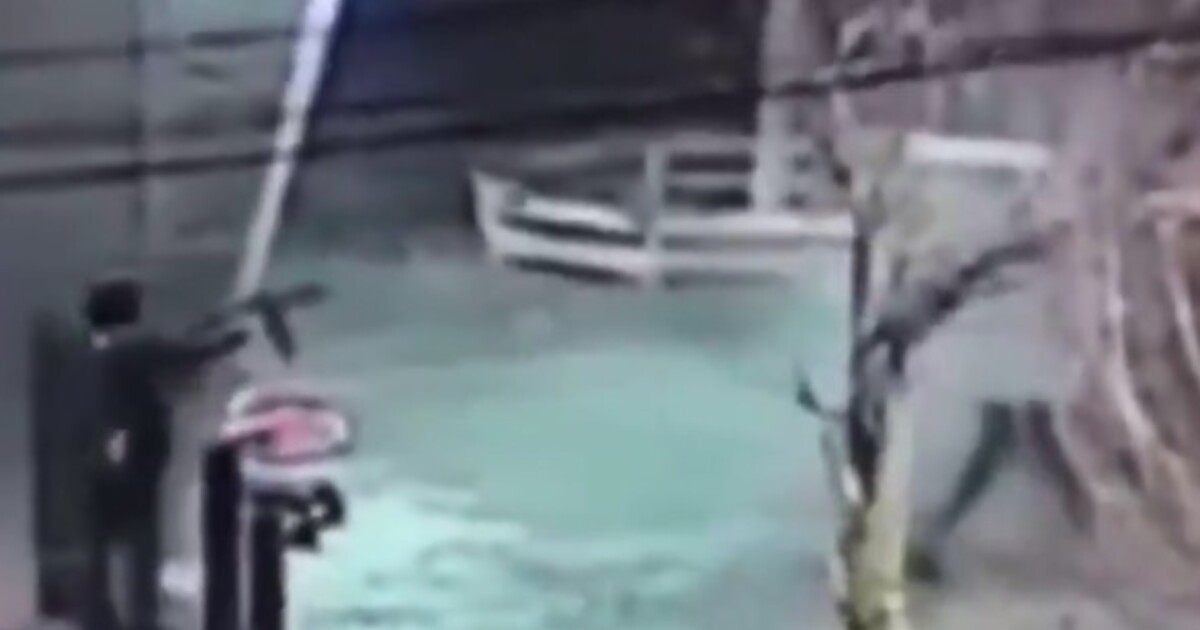 VIDEO: V Bruselu stříleli ozbrojení muži. Pachatelé jsou stále na útěku