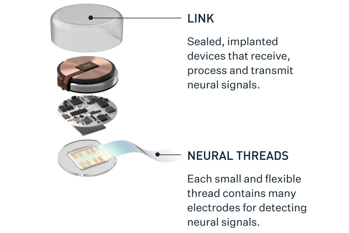 Neuralink, Elon Musk