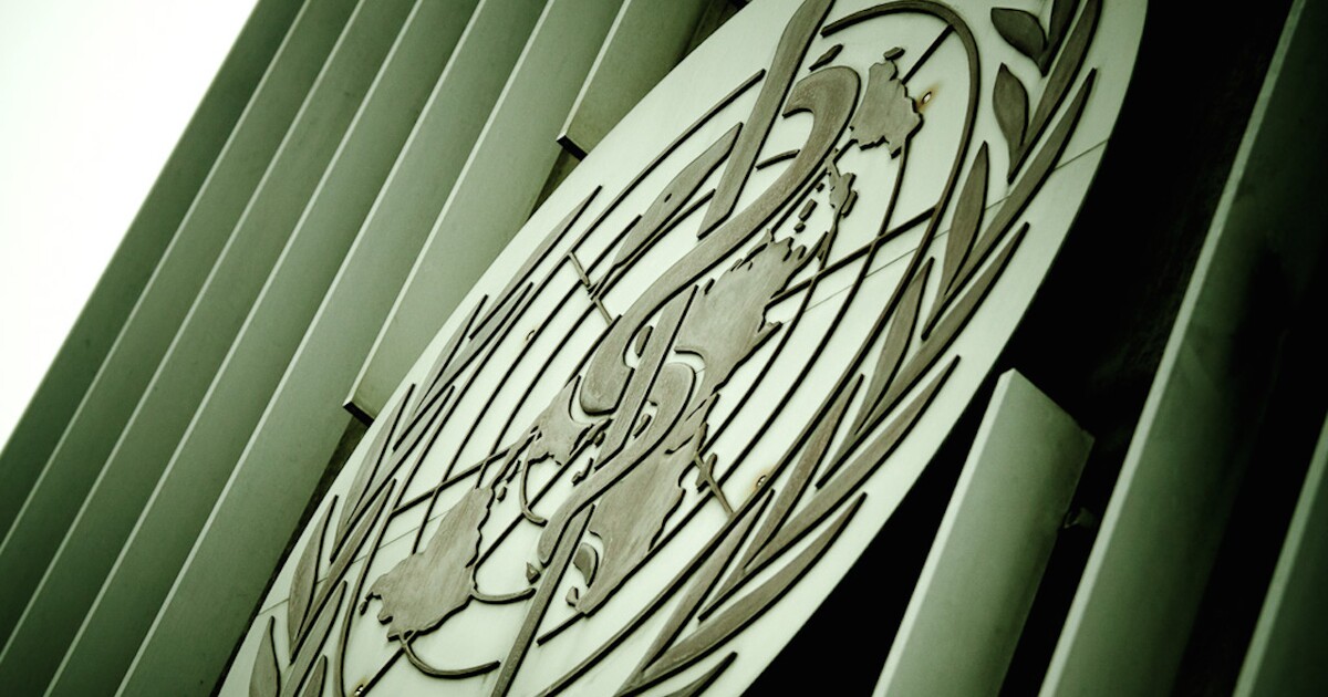 WHO má podezření na vypuknutí epidemie, nebezpečný virus se šíří z Tanzanie. Má 90% úmrtnost, nakažení zvracejí krev