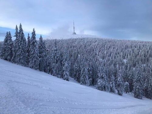 I tento skiareál je známý díky svému ikonickému vysílači. Nachází se v Hrubém Jeseníku a je nejvýše položeným centrem lyžování v České republice. Jedná se o: 