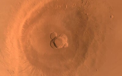 Týden ve vědě: Vědci zkoumali náladu kuřat a vznikly unikátní snímky Marsu.