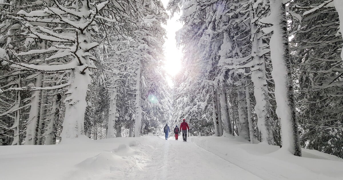 Meteorologové varují: Polární vír se může rozpadnout, přineslo by to další tuhé mrazy
