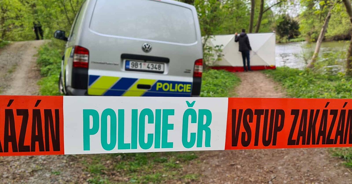 Slzný plyn, hmaty, chvaty ani elektrický paralyzér nezabraly. Agresor s mačetou na Frýdecku zemřel po policejním zásahu