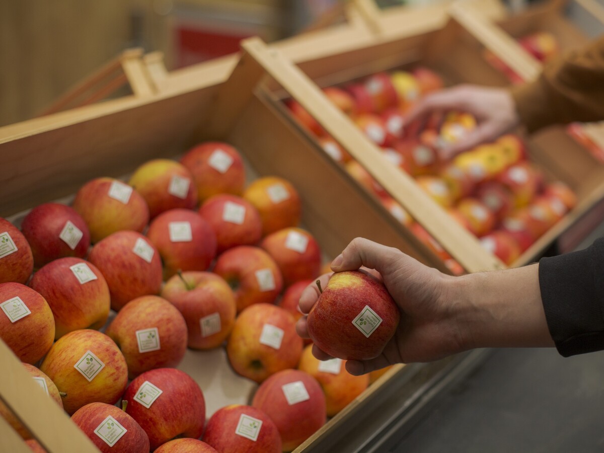 Kaufland Slovensko