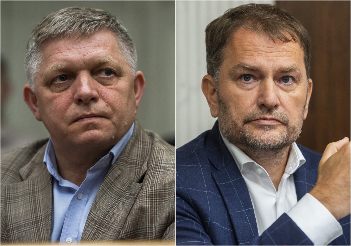 Analýza majetkových priznaní poslancov Igora Matoviča a Roberta Fica poukázala na viaceré nezrovnalosti.