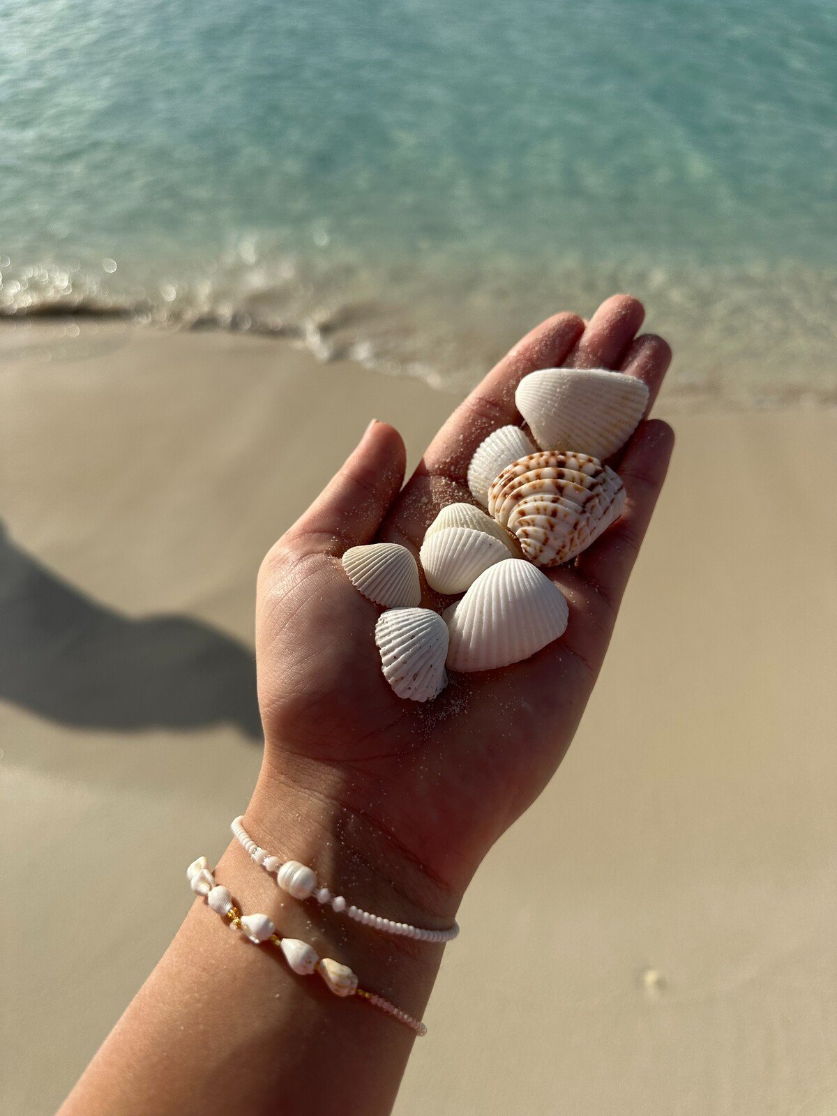 Bahamy – Bimini.