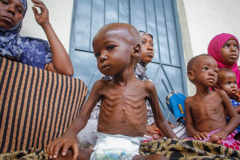 Podľa OSN bolo v auguste 2022 v regióne Afrického rohu ohrozených hladom až 22 miliónov obyvateľov. Ktorá krajina do tohto územia nepatrí?