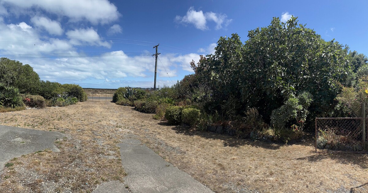 Tohle je nejhnusnější trávník světa. Neobvyklá soutěž skrývá důležité poselství