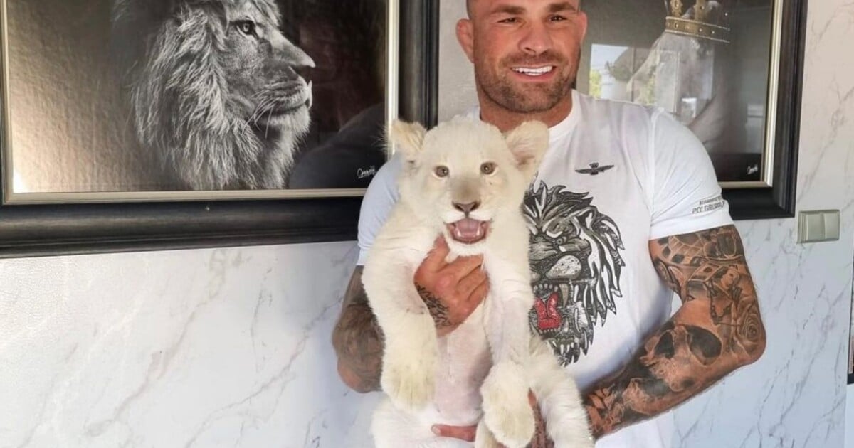 Nové informace o případu zadrženého Karlose Vémoly. Právník tvrdí, že v domě zápasníka policie nic nenašla