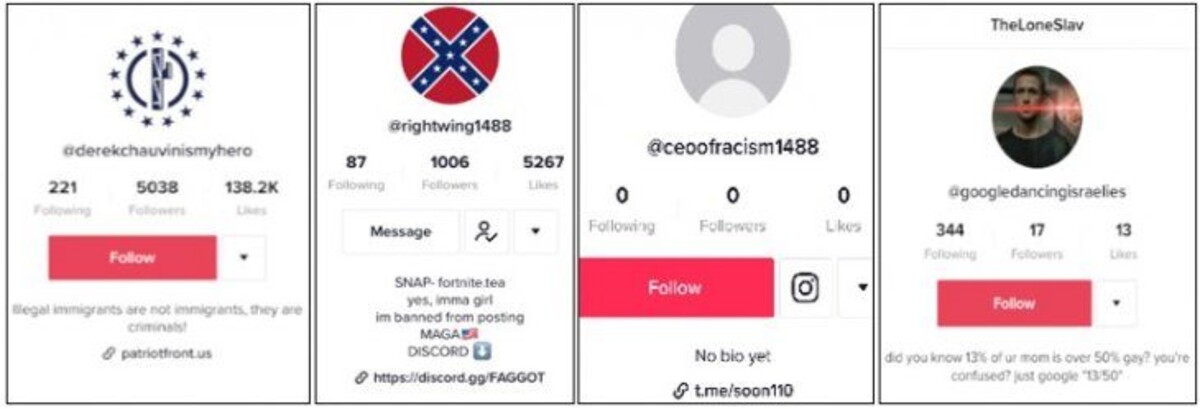 Profily, ktoré odkazujú na rasistické hnutia alebo obsahujú neonacistické heslá.