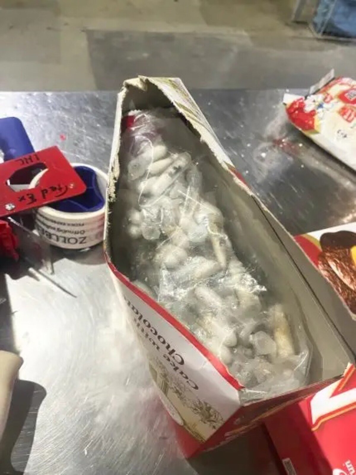 TARANTULA ENEMCKO