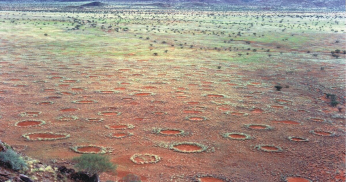 Tyto záhadné kruhy se nacházejí po celém světě, vědci je objevili pomocí umělé inteligence