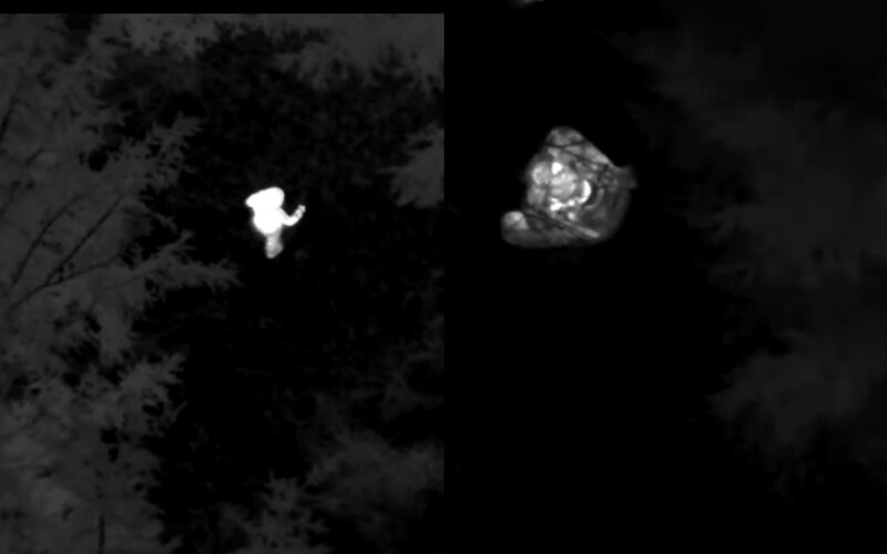 VIDEO: Dvojročný chlapec sa stratil v českých horách. Prešiel 3,5 kilometra, potom ho našiel vrtuľník s termokamerou.