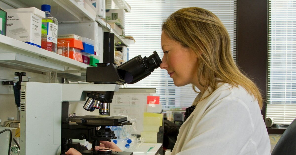 Houbové infekce se stále více šíří. Nebezpečná kvasinka vyvolává obavy, v minulosti objevila i v Česku