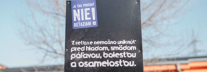 Ako sa darí zvieratám v bratislavskom útulku? Pandémia zvýšila počet adopcií, no desiatky psíkov strávia Vianoce bez rodiny