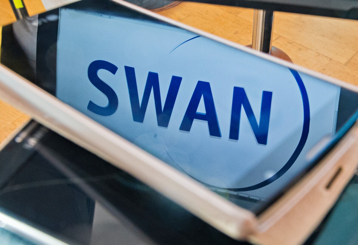 swan