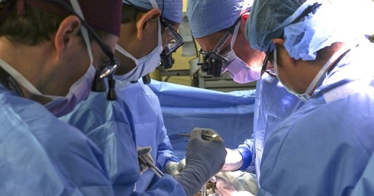 Slovenským lékařům se podařil unikátní zákrok. Byli jedni z prvních v Evropě