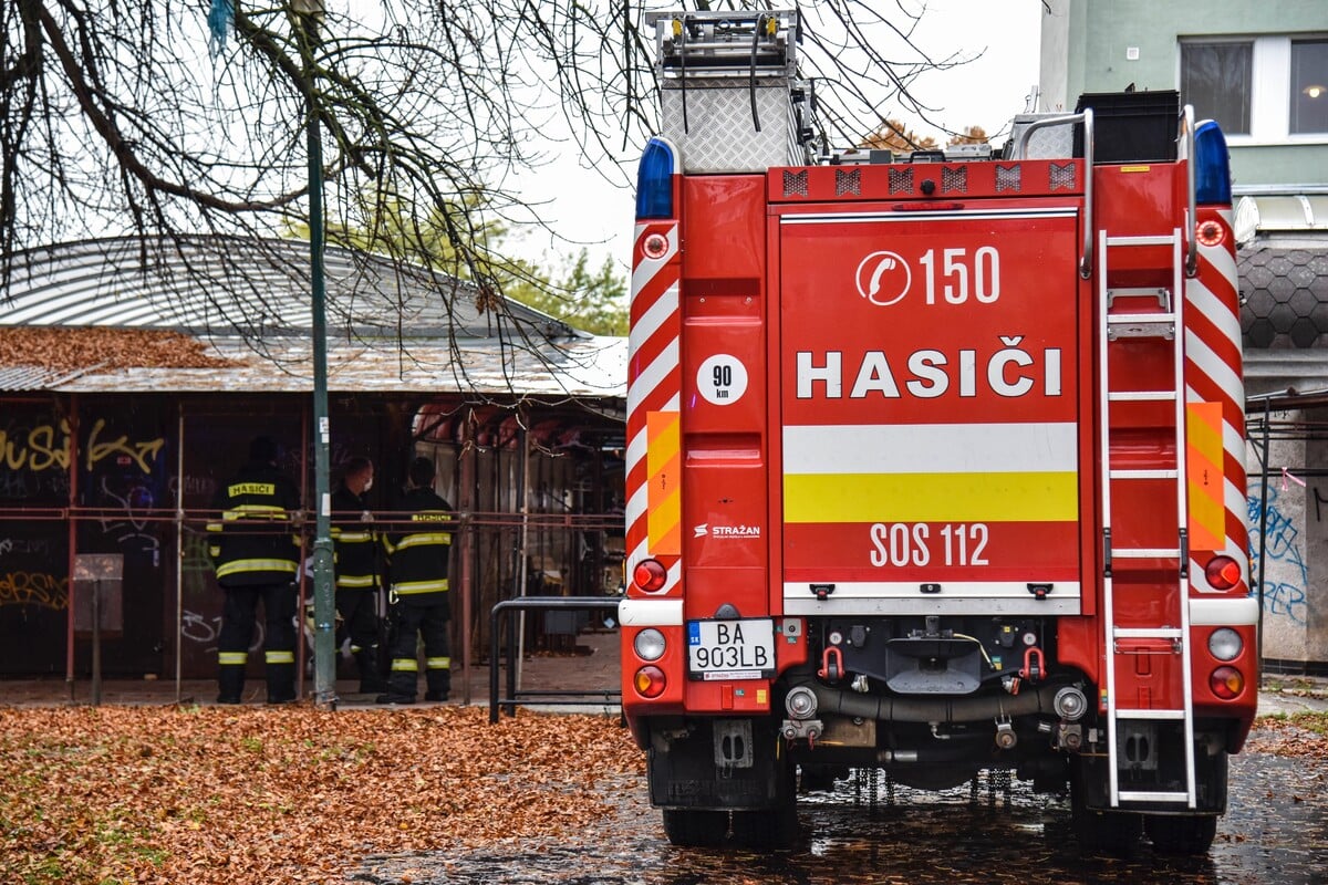 HASICSKE AUTO, HASICI