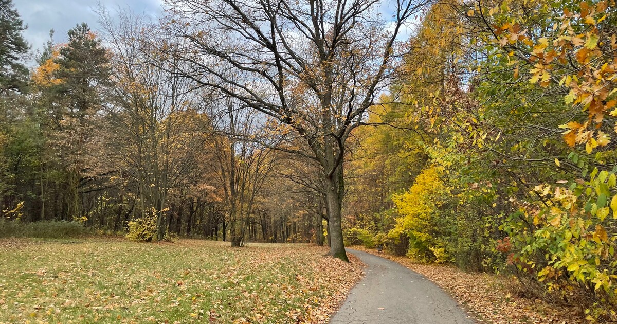 Kam na výlet: Divočina uprostřed Prahy. Na nejlepší procházky se chodí na tohle magické místo