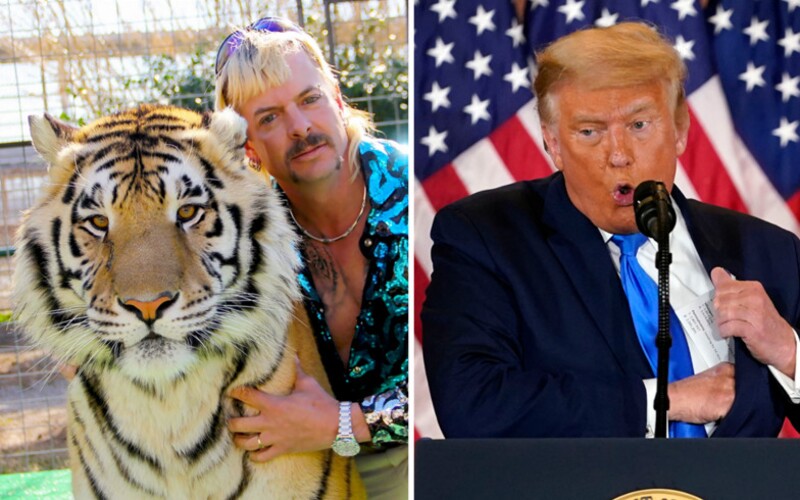 Král tygrů Joe Exotic si před věznici zavolal limuzínu. Čeká, že mu Donald Trump udělí milost před odchodem z úřadu.