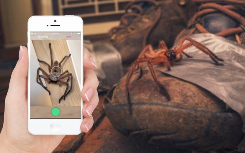 Australané dostanou Shazam pro hady a pavouky. Mobilní aplikace odhalí, zda tě konkrétní druh dokáže zabít.
