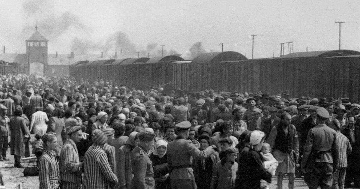 Válečná svědectví Romů a Sintů jsou nyní dostupná v nové online databázi