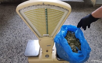 Pol kila marihuany ukrýval priamo na policajnej akadémii v Bratislave. Zamestnanec školy z domu predával aj halucinogénne huby.