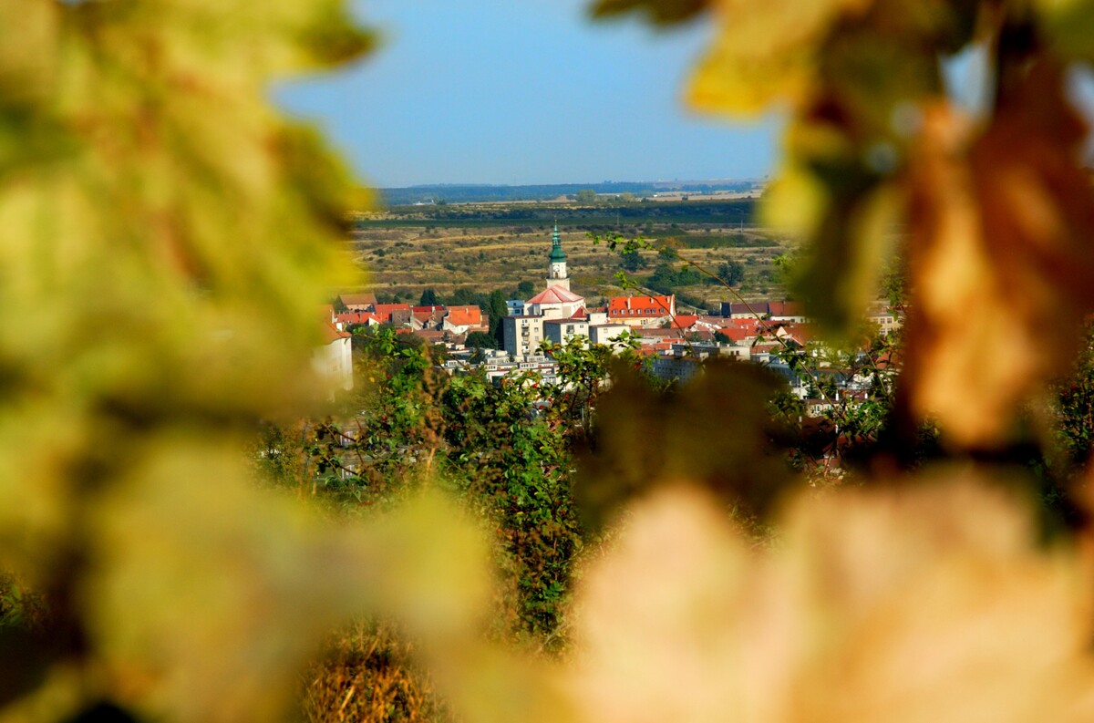 Shebo Winery 