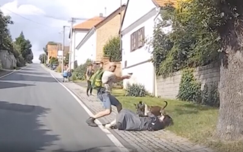 VIDEO: Staford se na Plzeňsku vrhl na ženu se psem v náručí. Pomohla až střelba.