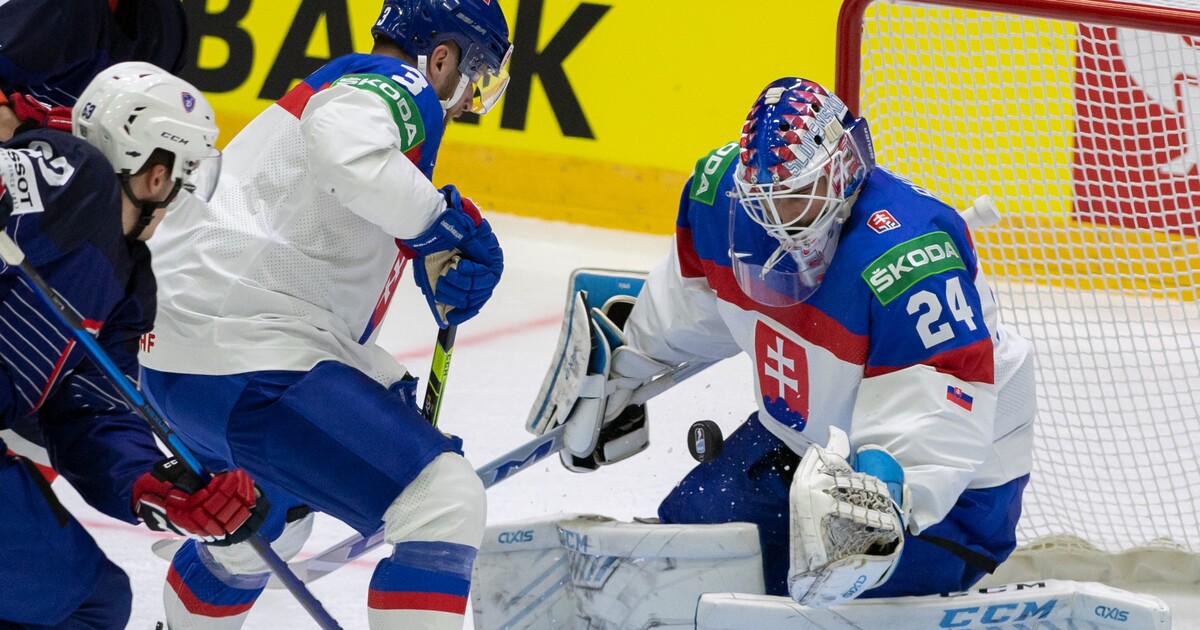 Coupe du monde de hockey 2022 : Slovaquie – France