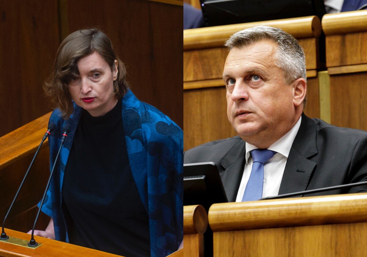 Lucia Plaváková, Andrej Danko. 