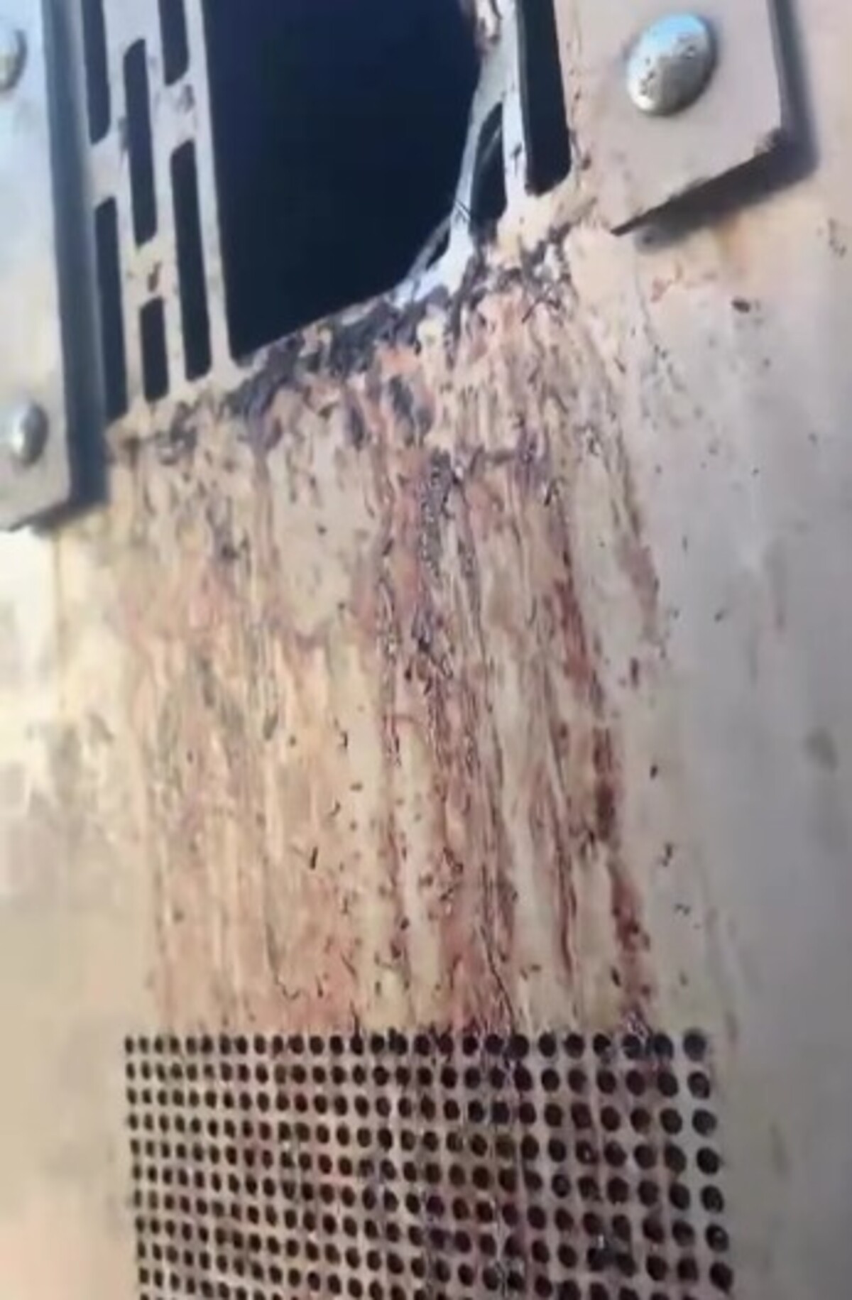 my sme les odchytna stanica