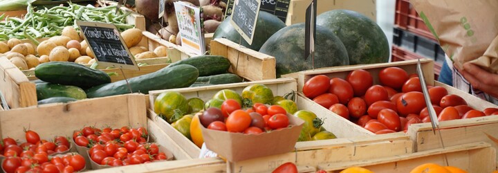 Více zeleniny, méně nádorů. Rostlinná strava může snížit riziko rakoviny tlustého střeva u mužů o 22 %