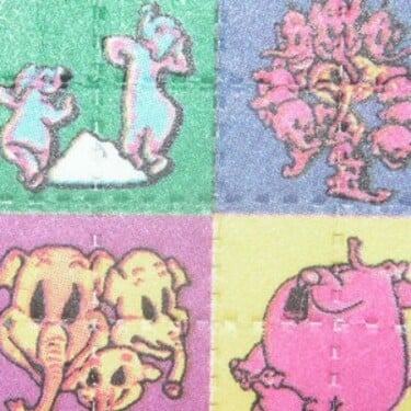 Mezi které drogy patří LSD?