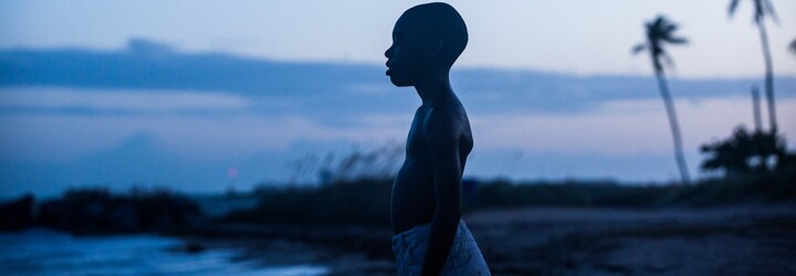 Atmosferický trailer vás zavede do příběhu afroamerického homosexuála v průběhu etap jeho života
