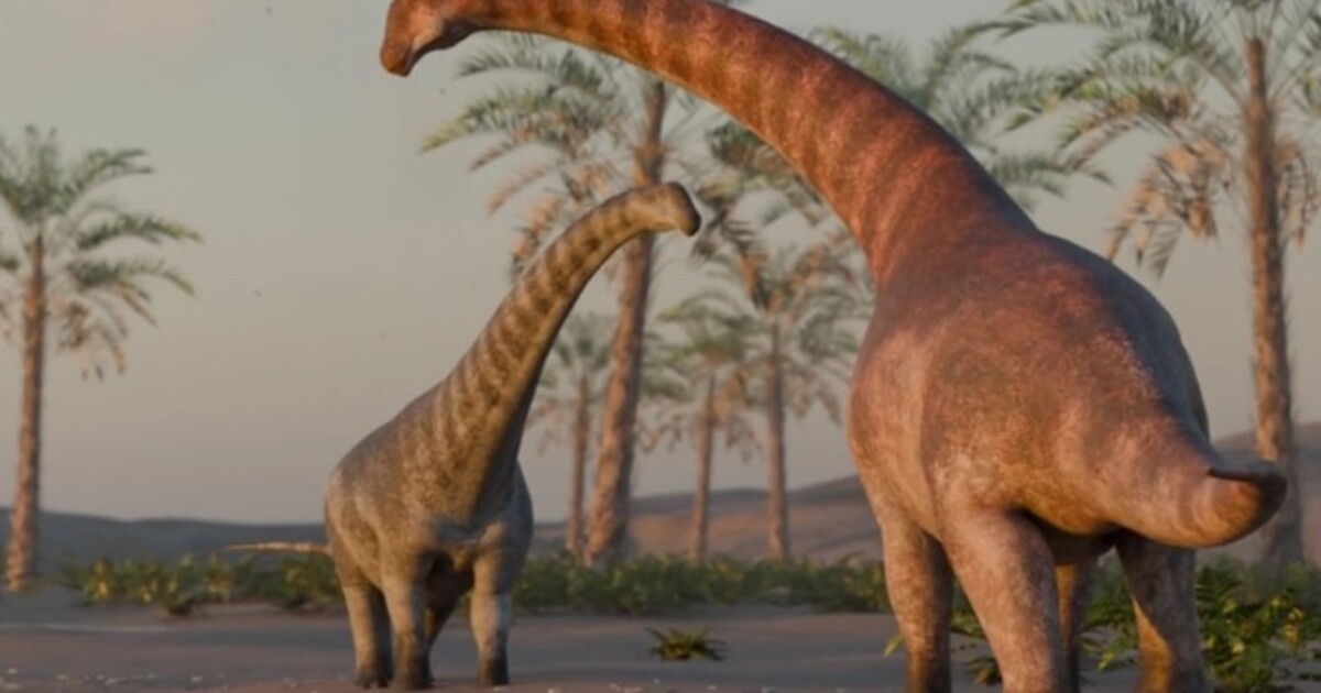V Argentině objevili nový druh dinosaura. Byl velký asi jako autobus, žil před 78 miliony let