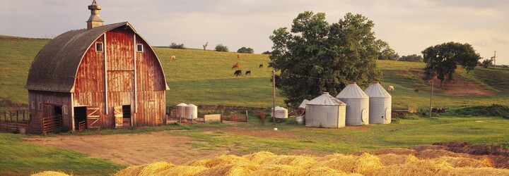 Farmáři ze středních Čech se spojili, aby založili internetový obchod s čerstvými potravinami