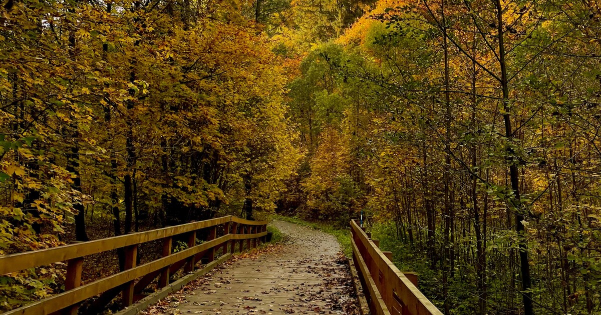 Předpověď počasí: Bude už konečně podzim?
