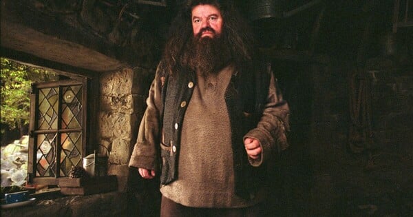 Prečo mal Hagrid zakázané čarovať?