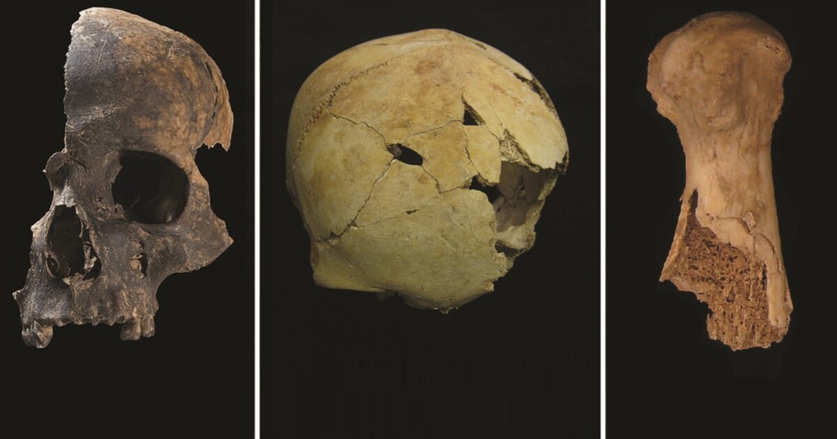 Důkaz o brutálním masakru. Kosti z doby bronzové nesou znaky kanibalismu