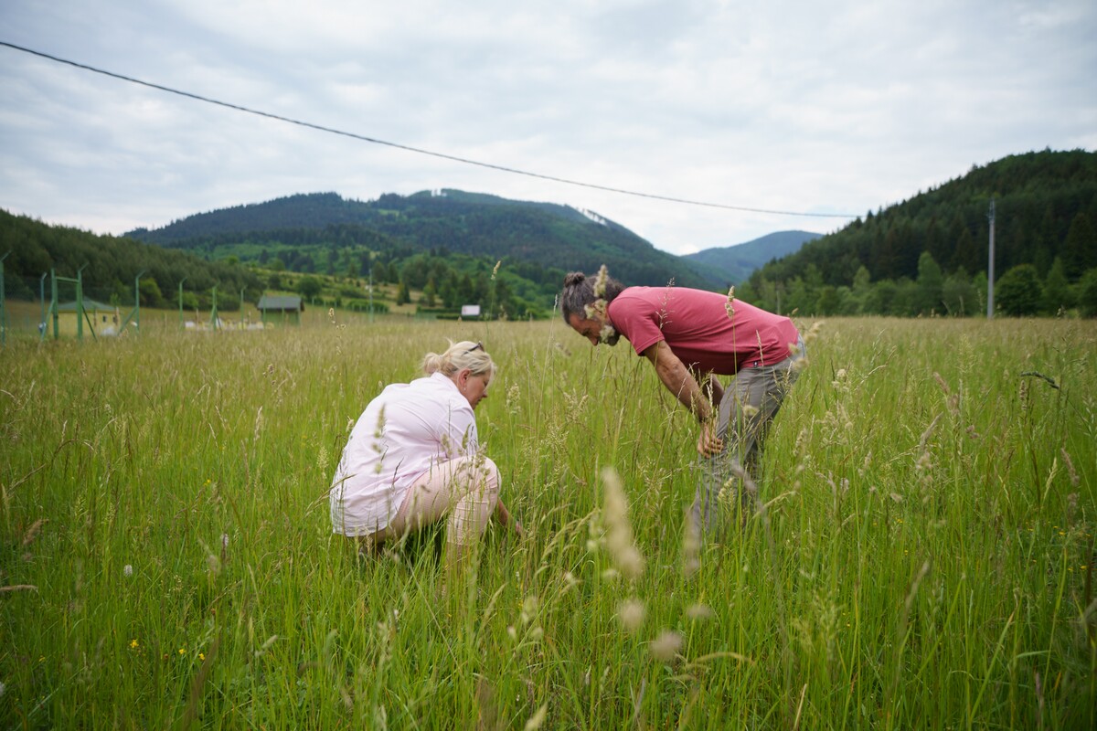 Katka Künstler a Jannis Samaras kontrolujú bylinky na lúke. 