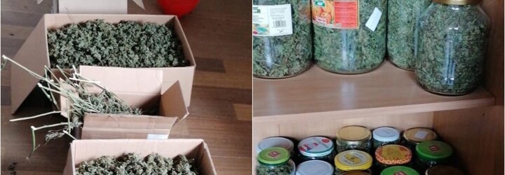 Slovák měl doma 18 kilo marihuany, hrozí mu 25 let vězení. Sušinu ukrýval v krabicích, ve vědrech i v zavařovacích sklenicích