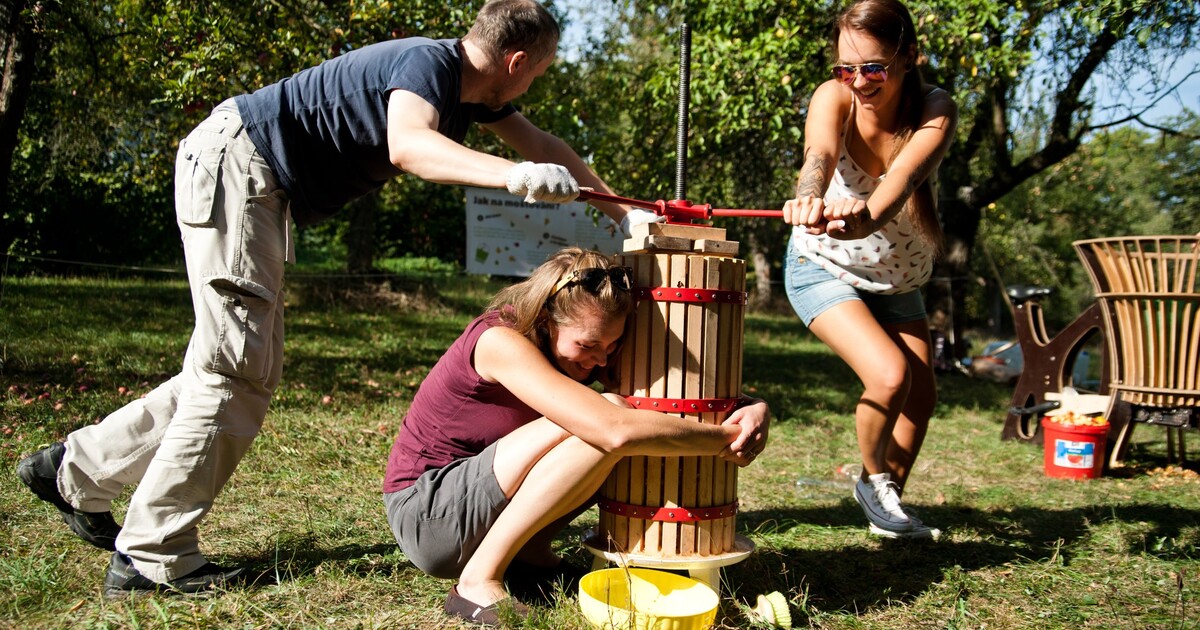 Jak si ve městě vypěstovat vlastní ovoce a zeleninu? Přijď to zjistit do Holešovické tržnice