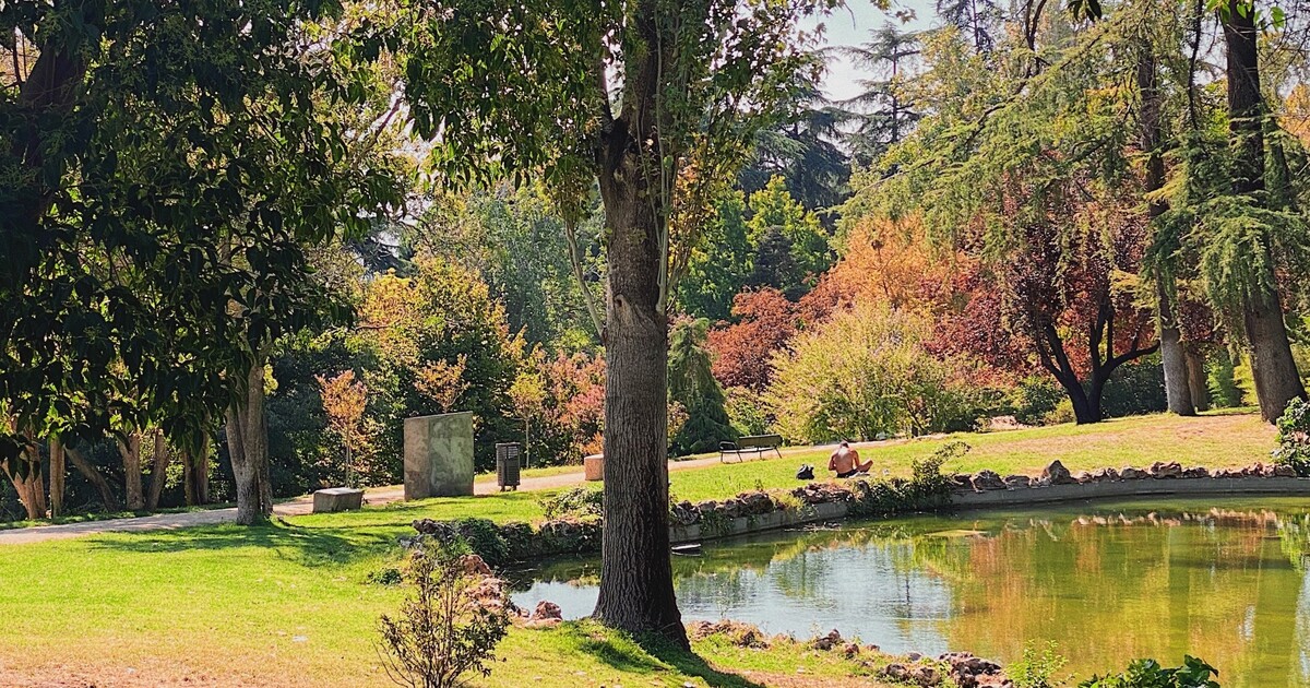 Česko zažilo extrémně teplou podzimní noc. Rekordy mohou padat i o víkendu