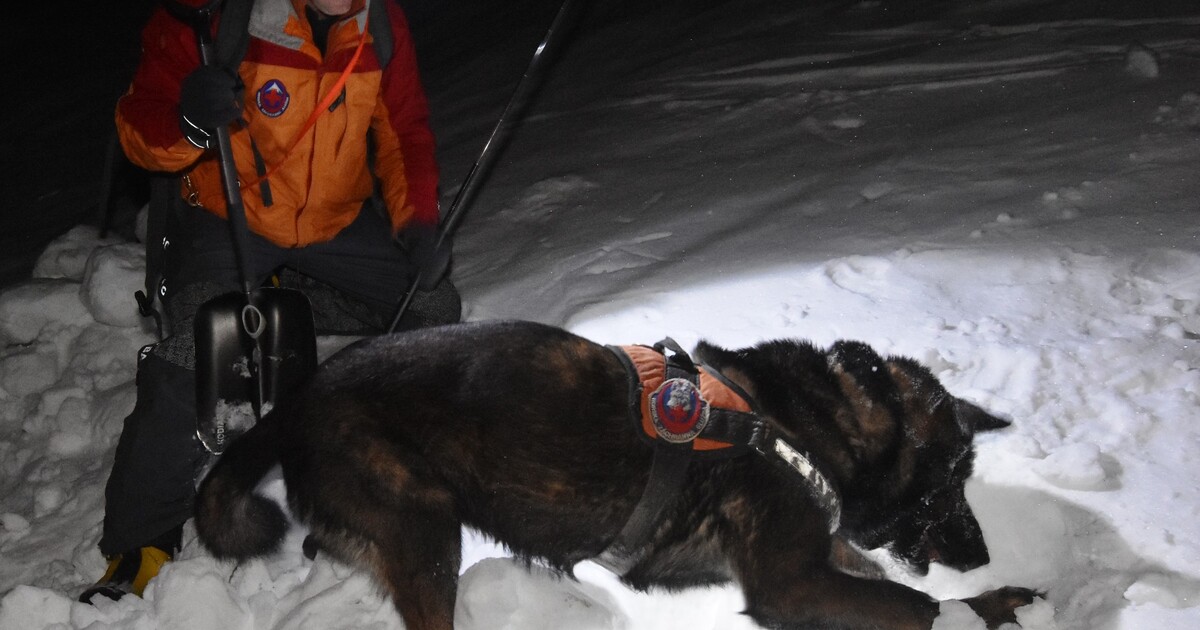 Zázrak v Norsku: Turistu zasypala lavina, přežil neuvěřitelných sedm hodin pod sněhem